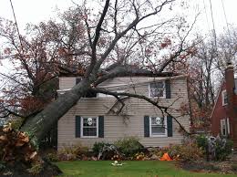 House damaged by a fallen treeAC