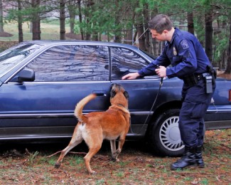 Police officer with dog sniffing on a car
